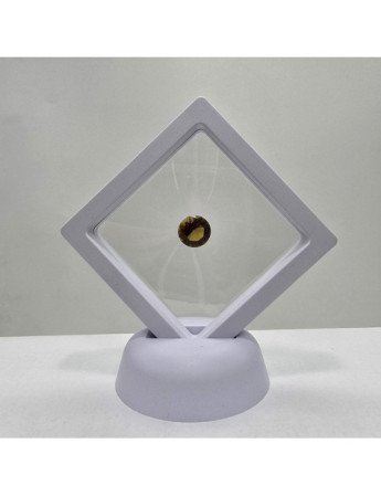 Quarzo Birra Taglio Rotondo 12 mm - 4,71 ct